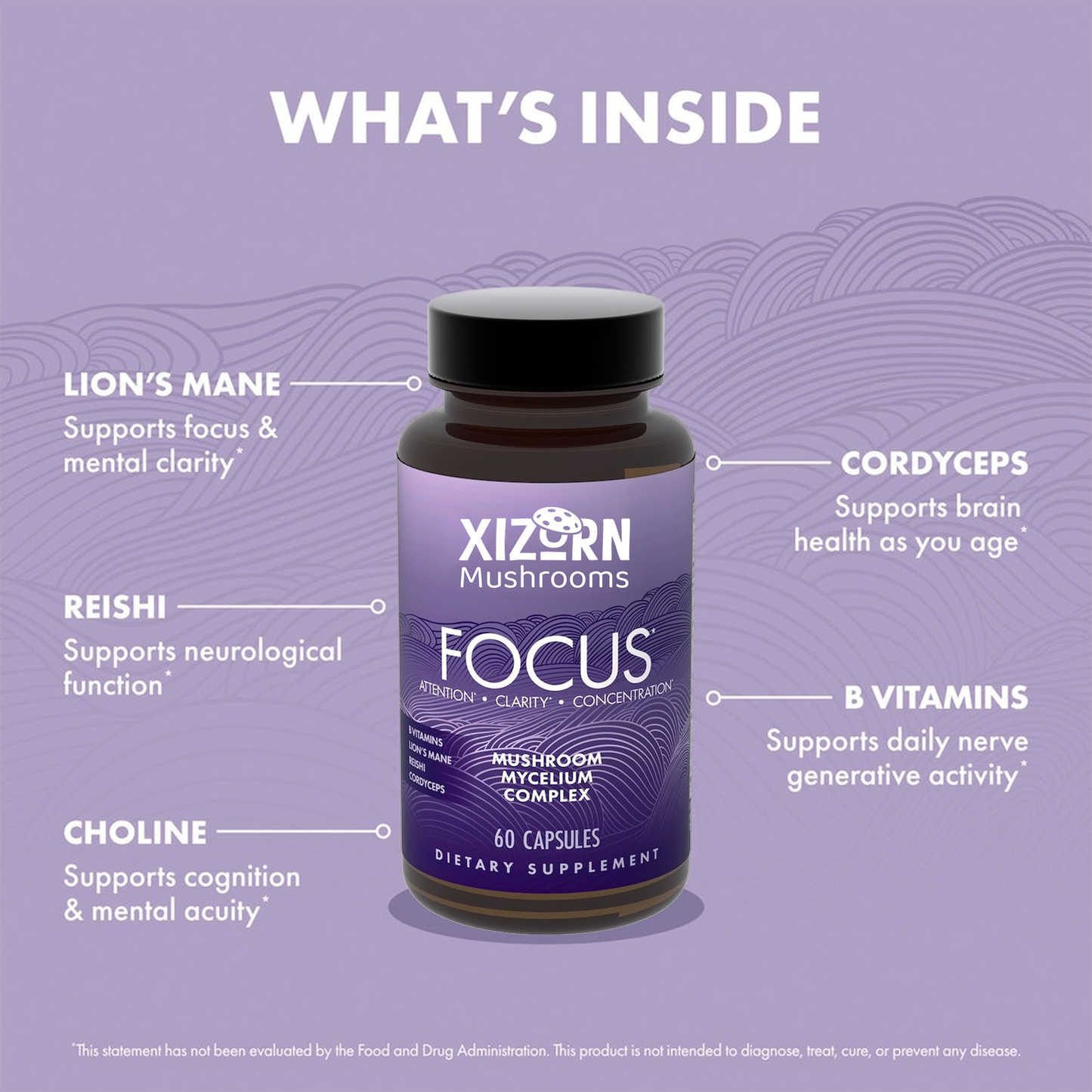 XIZORN Mushrooms Focus* Capsules